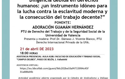 VIDEOCONFERENCIA: “Diligencia debida en derechos humanos: ¿un instrumento idóneo para la lucha contra la esclavitud moderna y la consecución del trabajo decente?”